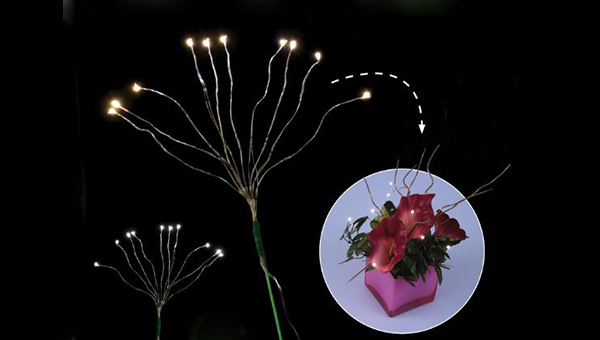 Fortune Product Bouquet Lights