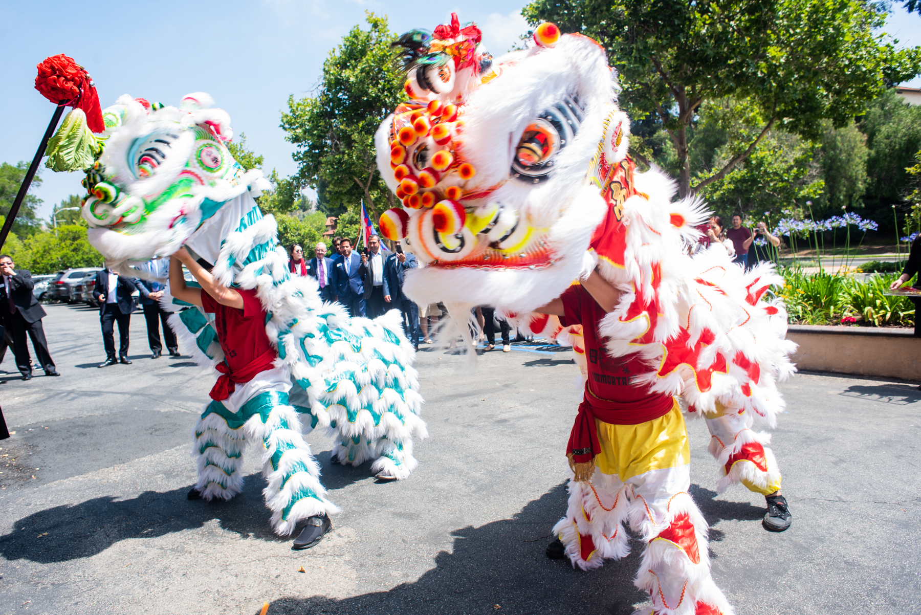 Chinese New Year 2019: Facts, Sayings to Celebrate the Year of the Pig