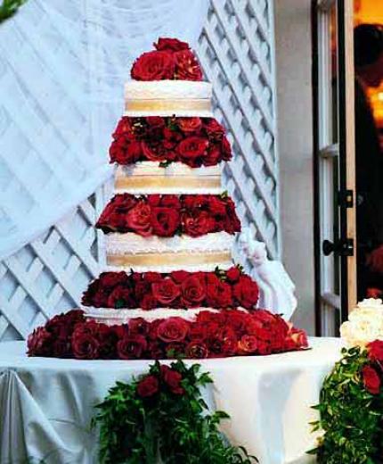 Cakes by Gray - Wedding Cake - Asheville, NC - WeddingWire